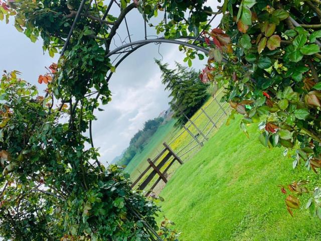 Pontestura Agriturismo Cascina Smeraldaヴィラ エクステリア 写真